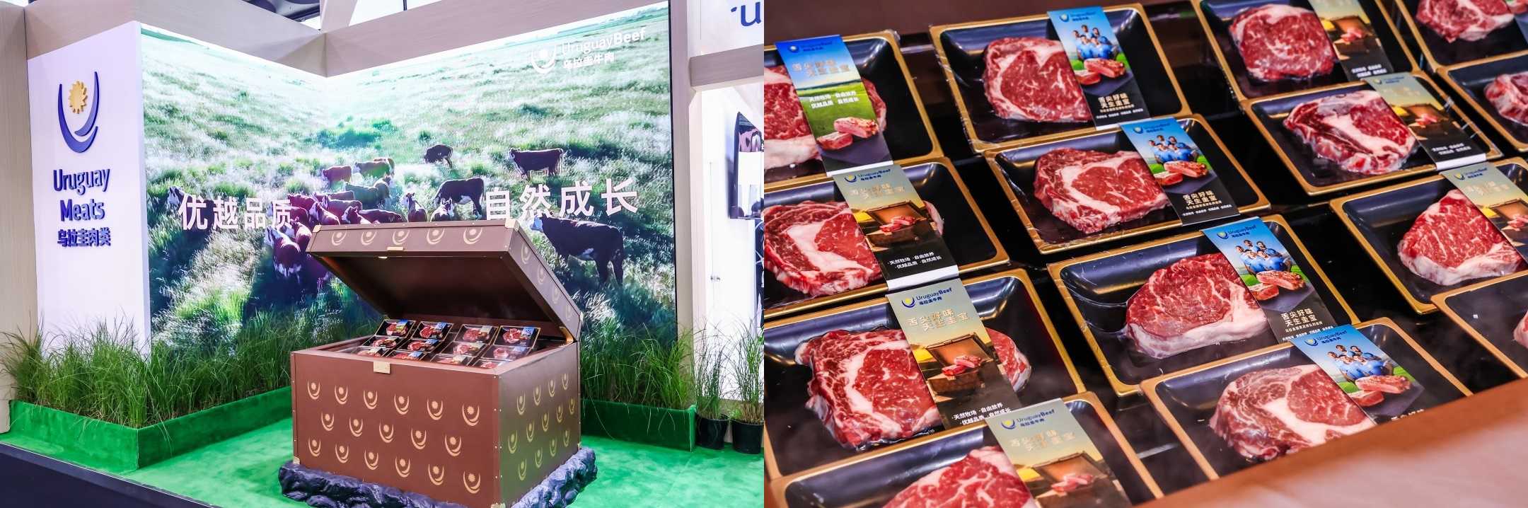 “舌尖好味 天生圭宝”上线半年:乌拉圭牛肉如何用一只“宝箱”抢占中国高端餐桌
