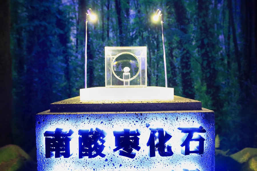 单品年售10亿粒,这颗南酸枣糕到底多“硬核”——文化篇 11.jpg