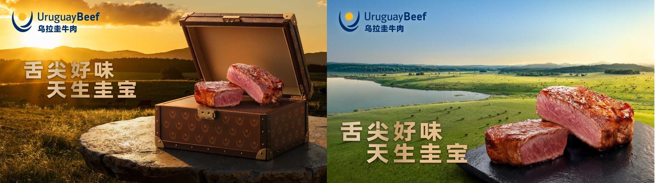 “舌尖好味 天生圭宝”上线半年:乌拉圭牛肉如何用一只“宝箱”抢占中国高端餐桌